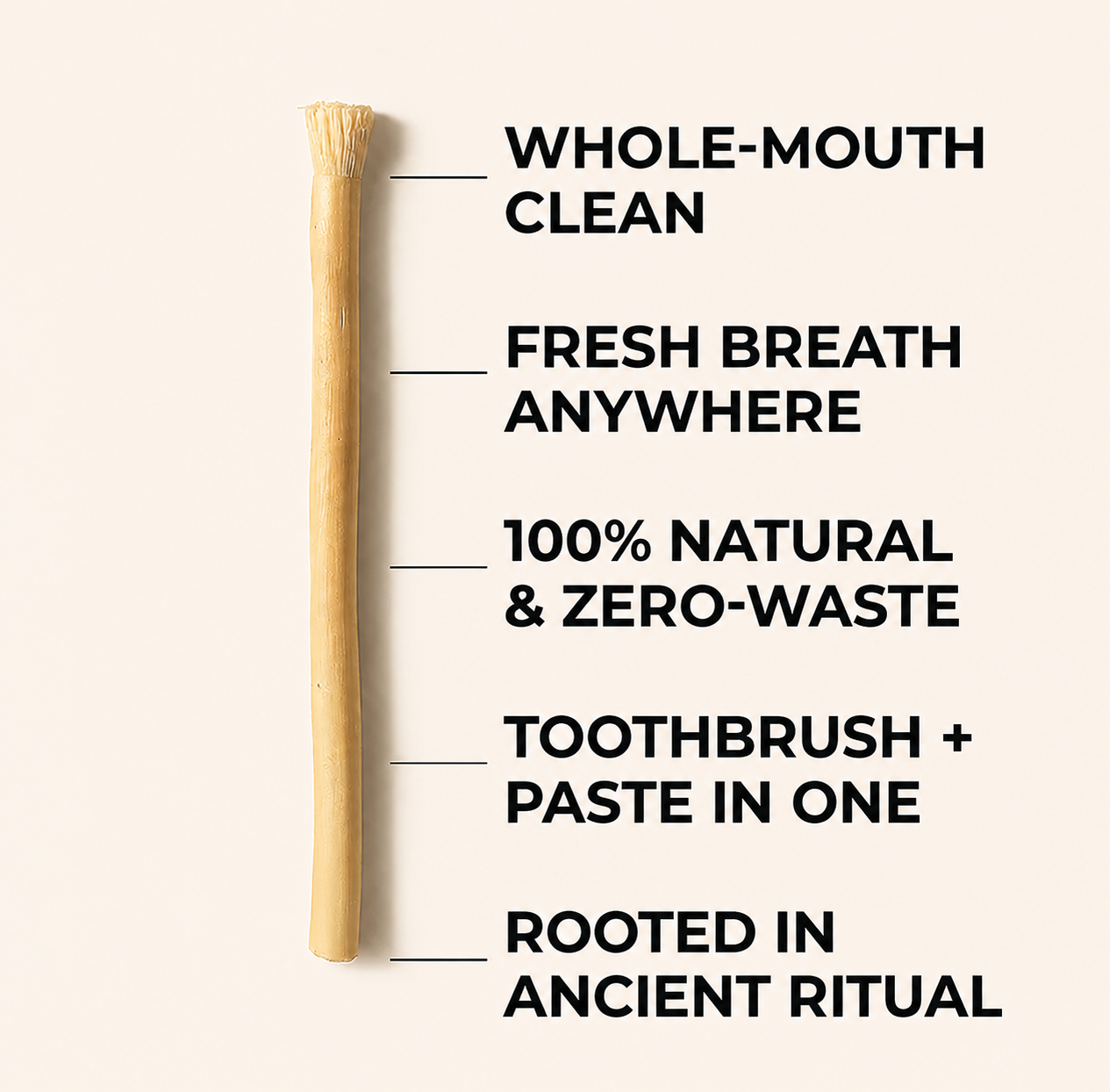 Miswak Origins - All Natural Teeth Whitening
