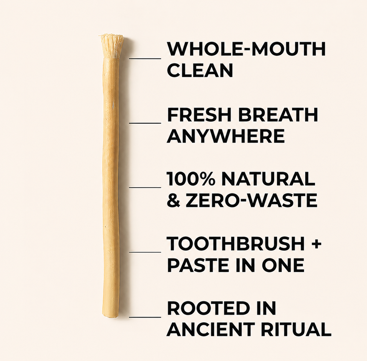 Miswak Origins - All Natural Teeth Whitening