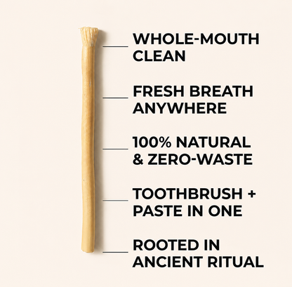 Miswak Origins - All Natural Teeth Whitening
